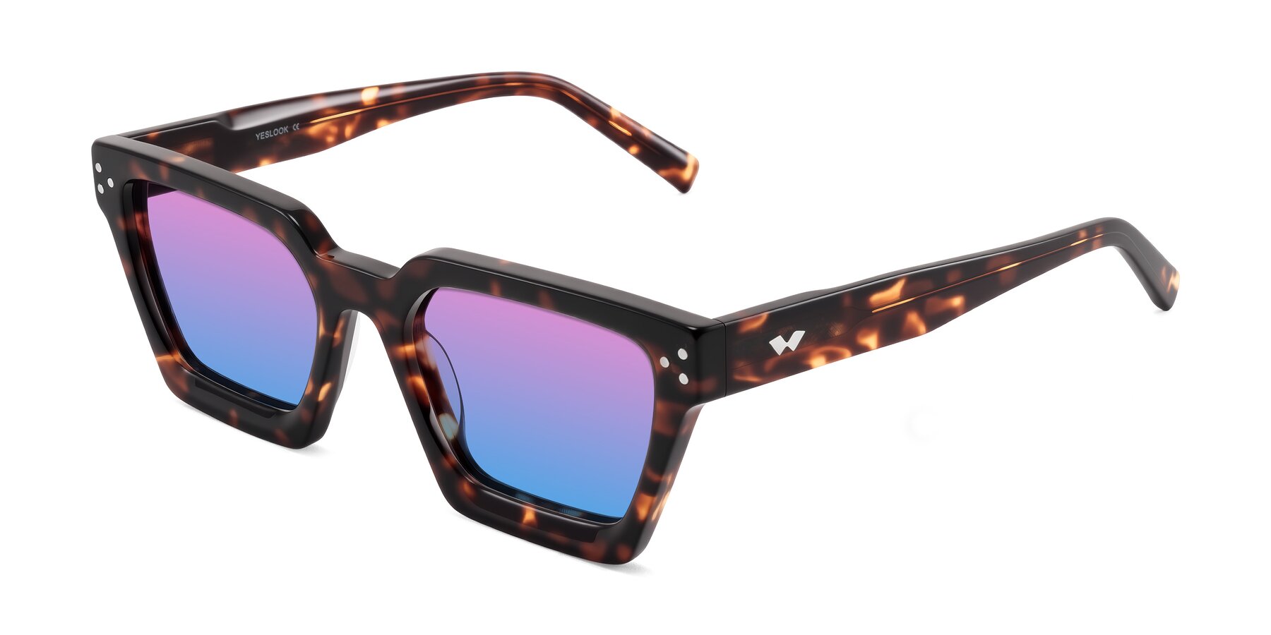 Angle of Callan in Tortoise with Pink / Blue Gradient Lenses