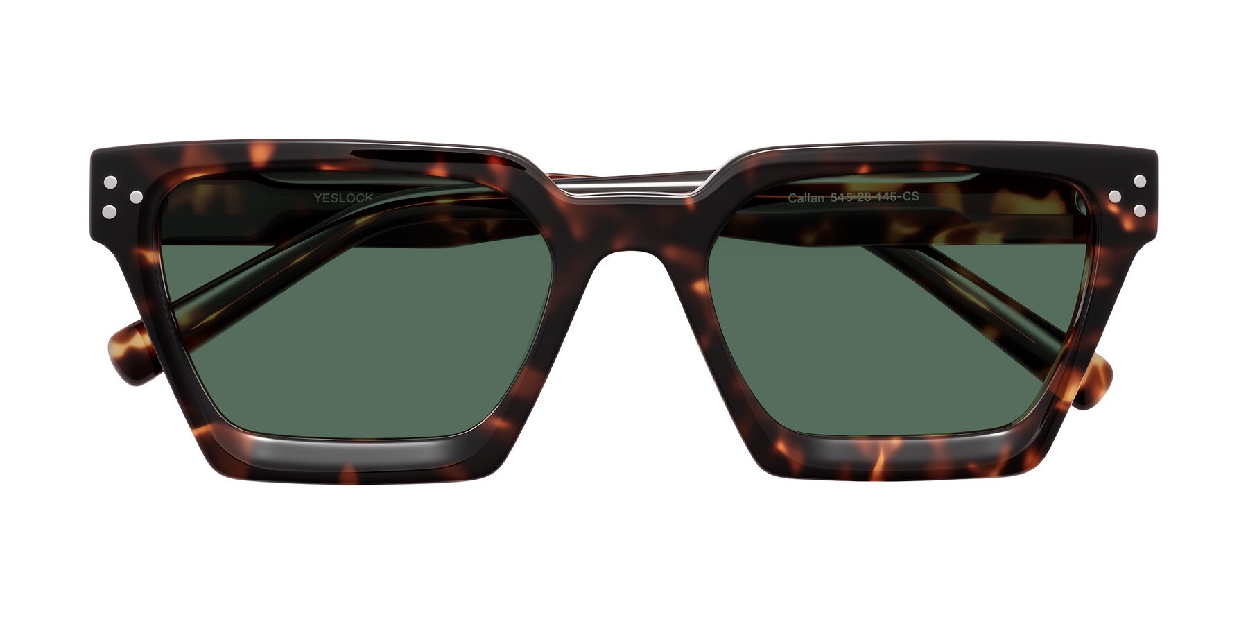 Folded Front of Callan in Tortoise with Green Polarized Lenses