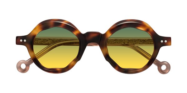 Front of Skoe in Tortoise