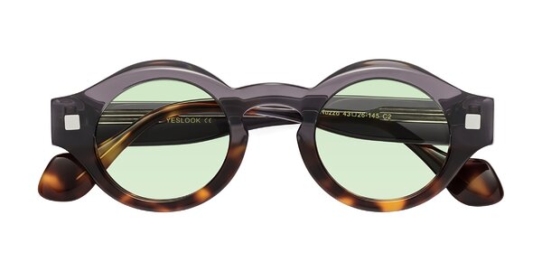 Front of Nuzzo in Gray / Tortoise