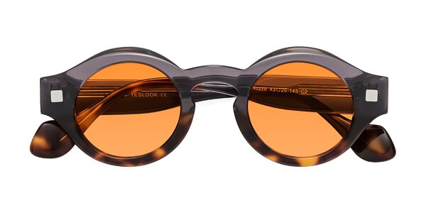 Front of Nuzzo in Gray / Tortoise