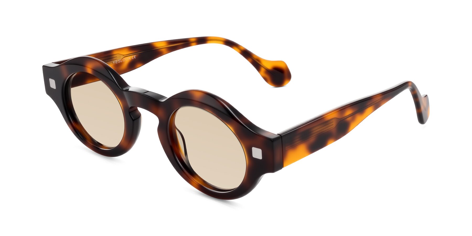 Angle of Nuzzo in Tortoise with Light Brown Tinted Lenses