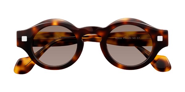 Front of Nuzzo in Tortoise