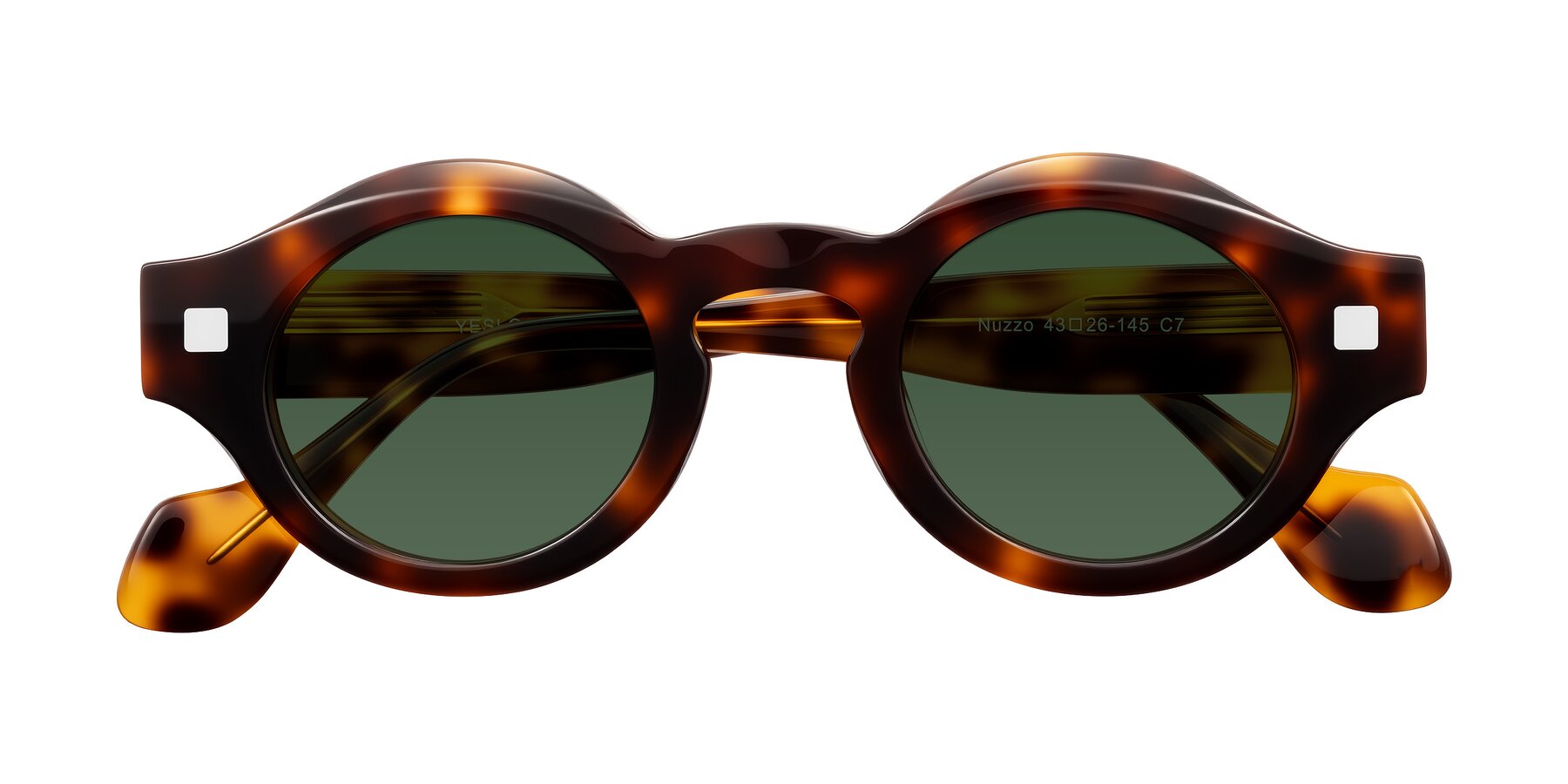 Folded Front of Nuzzo in Tortoise with Green Tinted Lenses