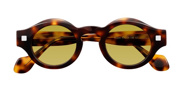 Front of Nuzzo in Tortoise