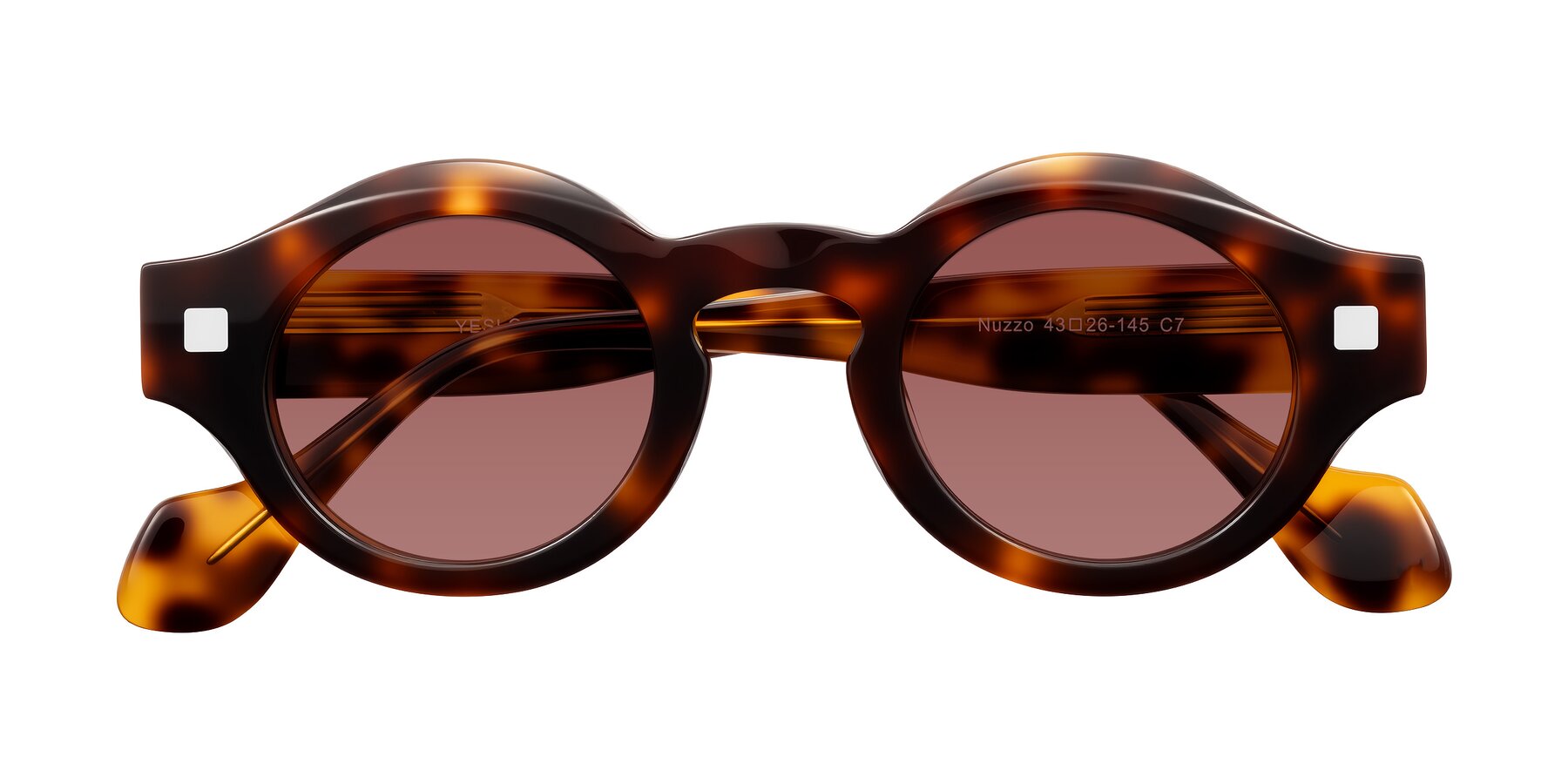 Folded Front of Nuzzo in Tortoise with Garnet Tinted Lenses