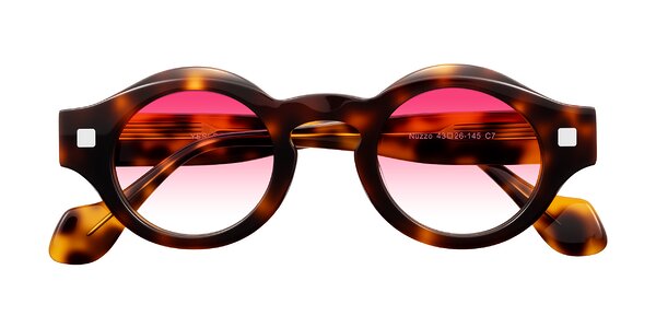 Front of Nuzzo in Tortoise