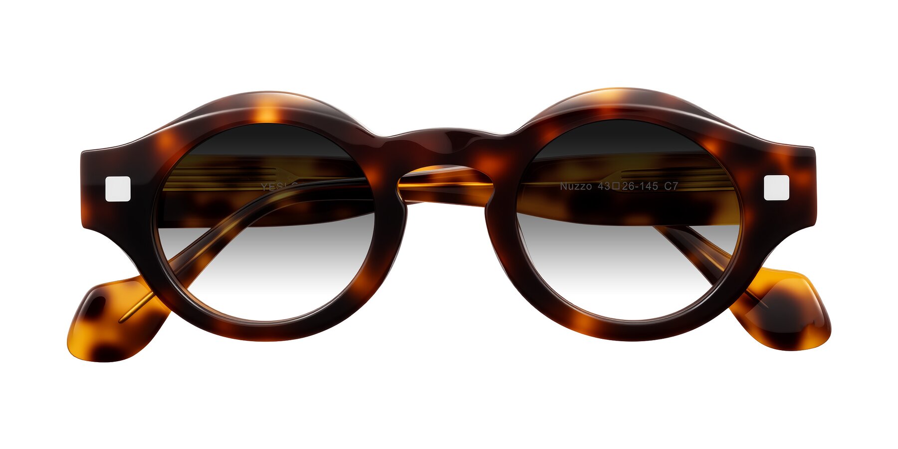 Folded Front of Nuzzo in Tortoise with Gray Gradient Lenses