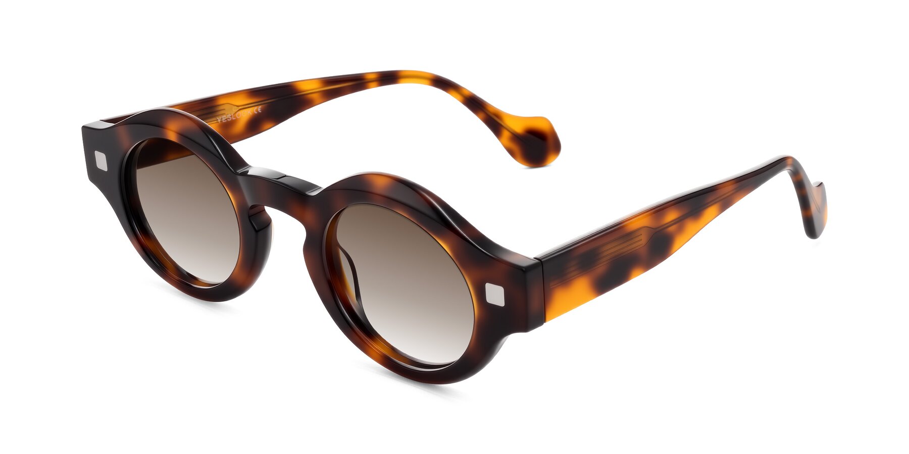 Angle of Nuzzo in Tortoise with Brown Gradient Lenses