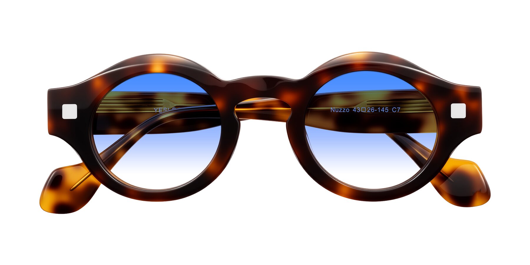 Folded Front of Nuzzo in Tortoise with Blue Gradient Lenses