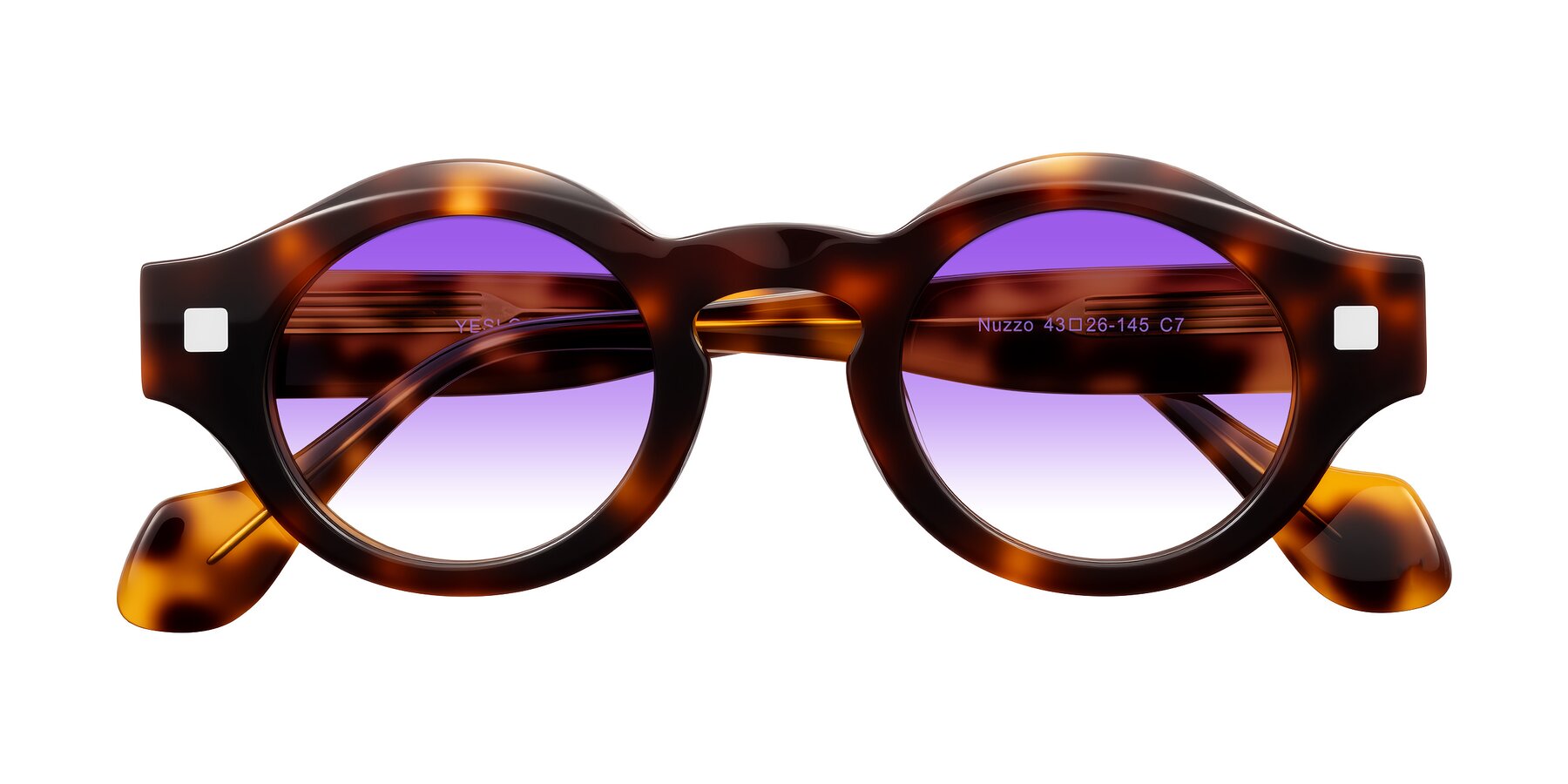 Folded Front of Nuzzo in Tortoise with Purple Gradient Lenses