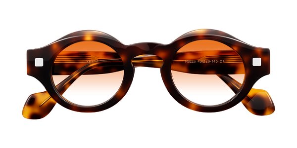 Front of Nuzzo in Tortoise