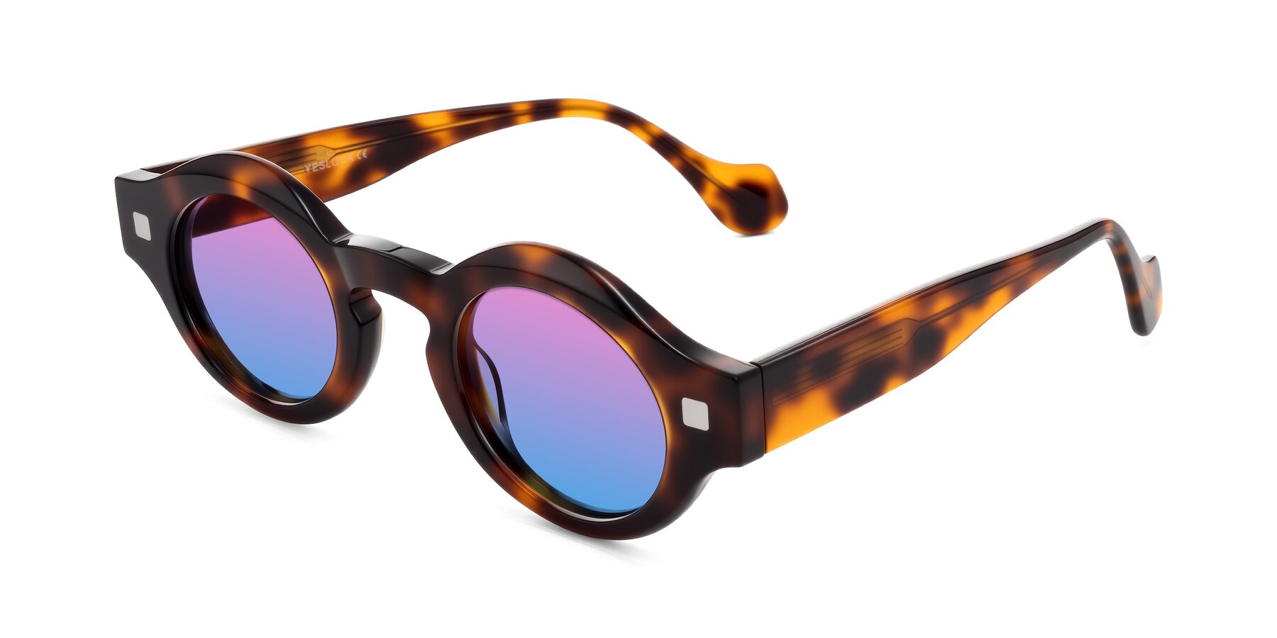 Angle of Nuzzo in Tortoise with Pink / Blue Gradient Lenses