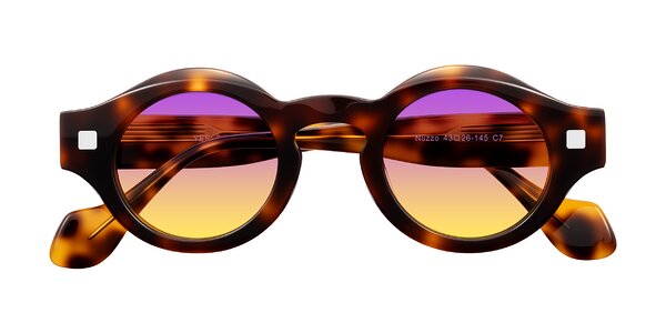 Front of Nuzzo in Tortoise