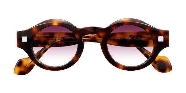 Front of Nuzzo in Tortoise