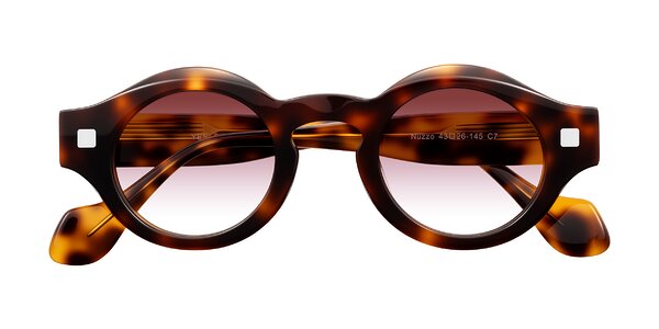 Front of Nuzzo in Tortoise