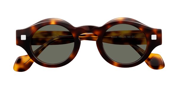 Front of Nuzzo in Tortoise