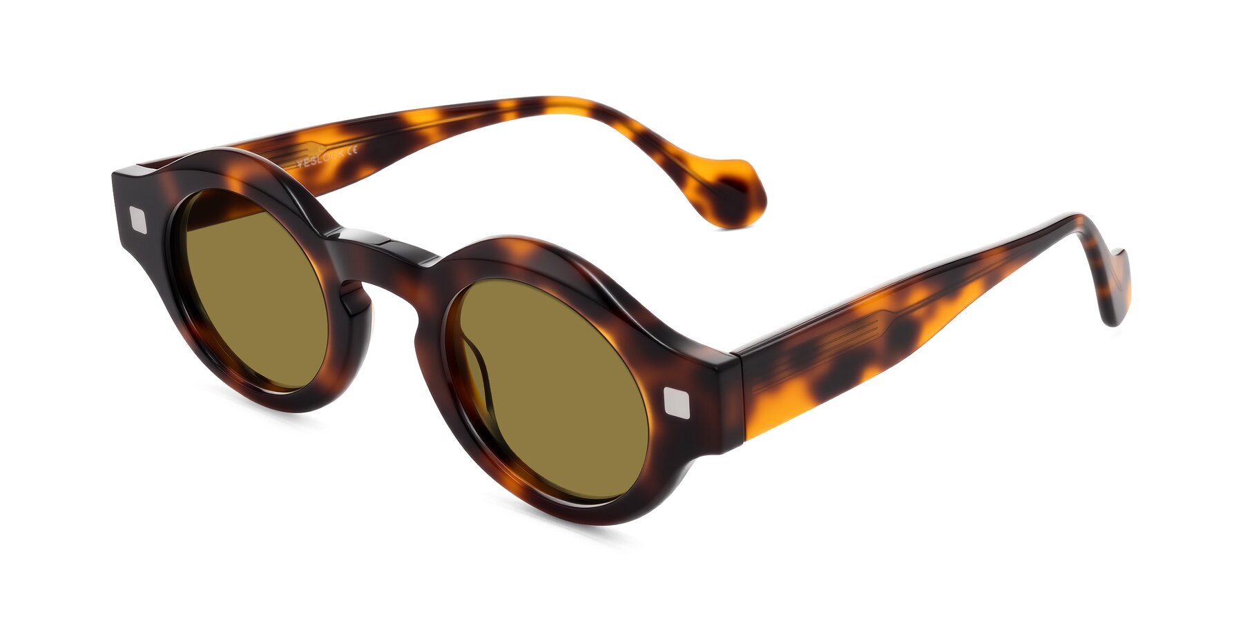 Angle of Nuzzo in Tortoise with Brown Polarized Lenses