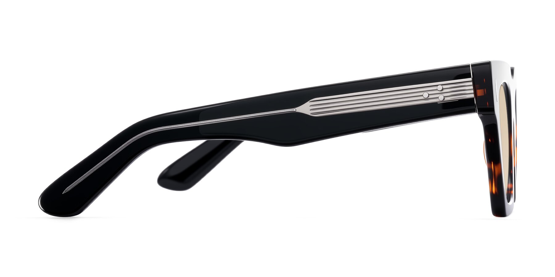 Side of Padulla in Tortoise with Light Brown Tinted Lenses