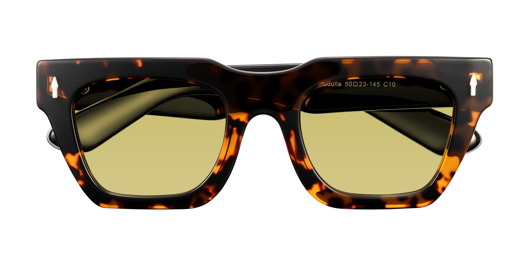 Folded Front of Padulla in Tortoise with Medium Champagne Tinted Lenses