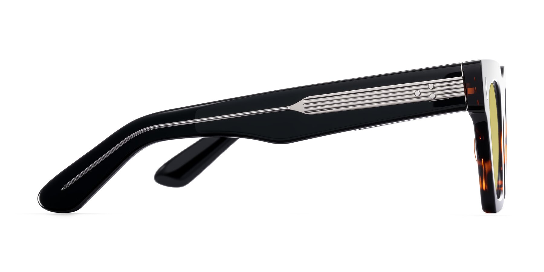 Side of Padulla in Tortoise with Medium Champagne Tinted Lenses