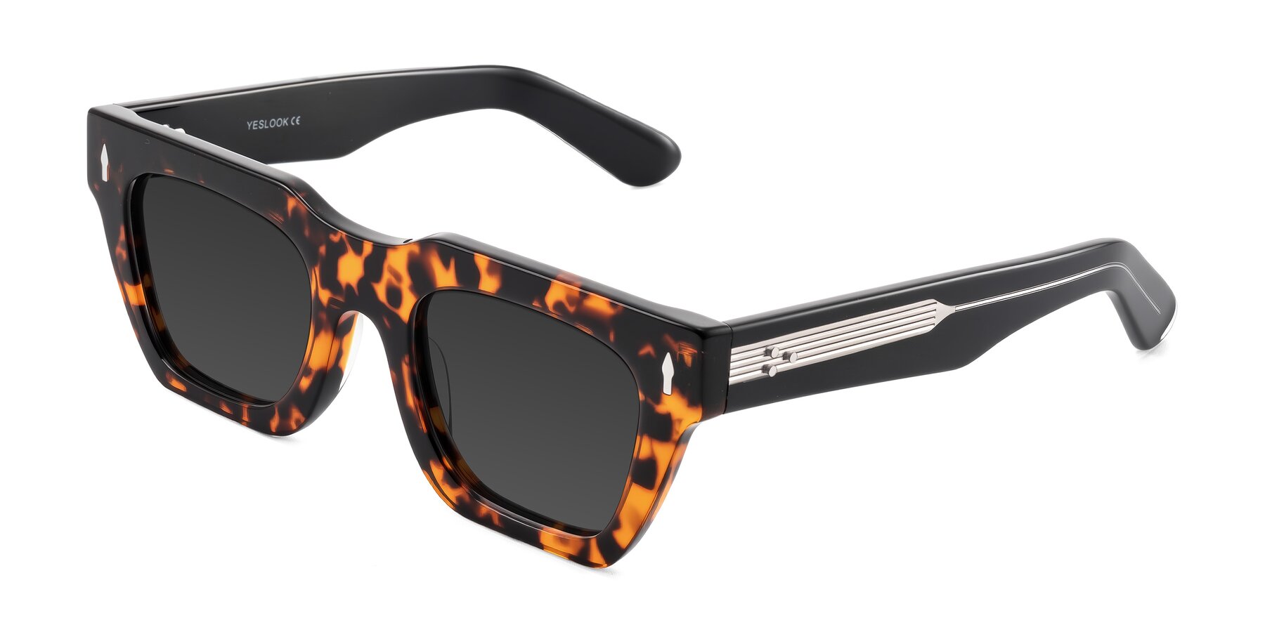 Angle of Padulla in Tortoise with Gray Tinted Lenses