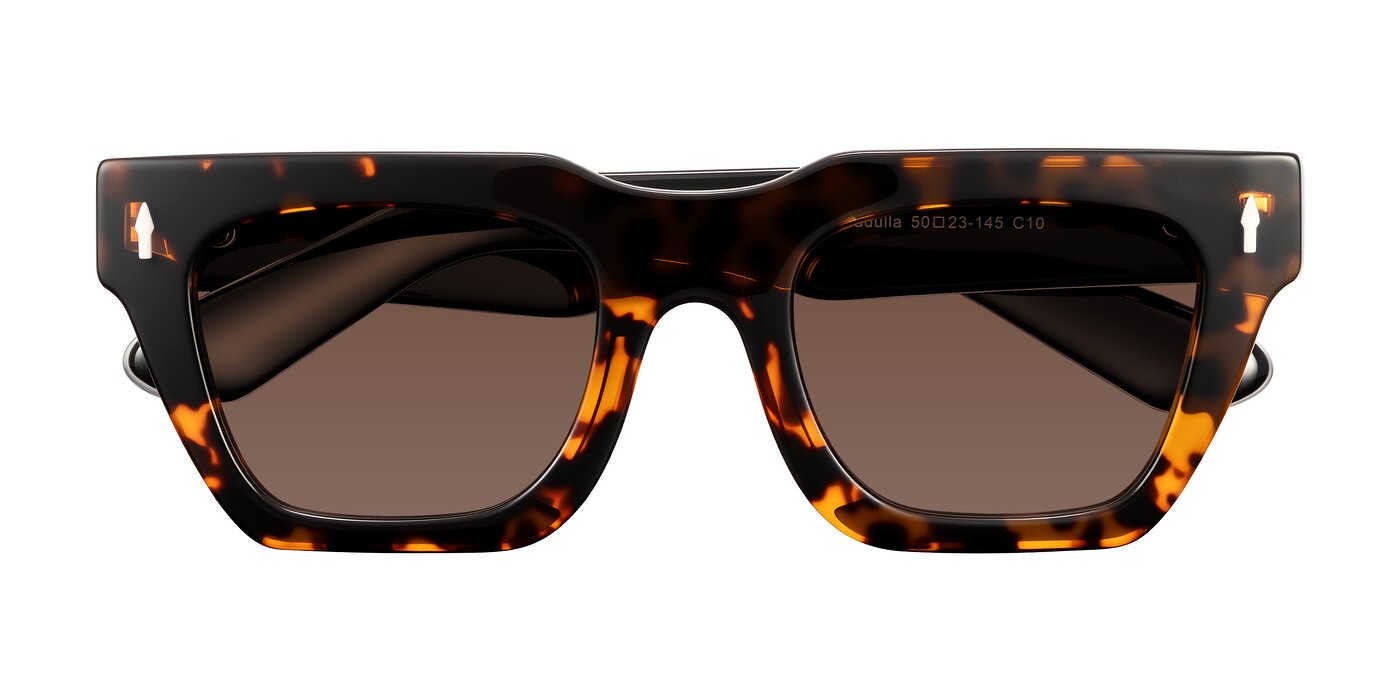 Padulla - Tortoise Tinted Sunglasses