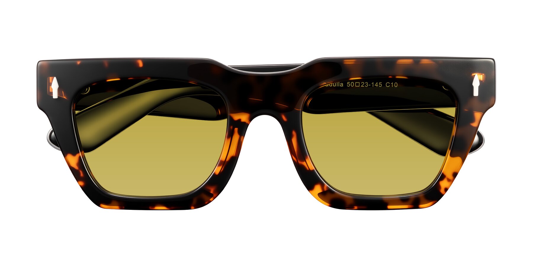 Folded Front of Padulla in Tortoise with Champagne Tinted Lenses