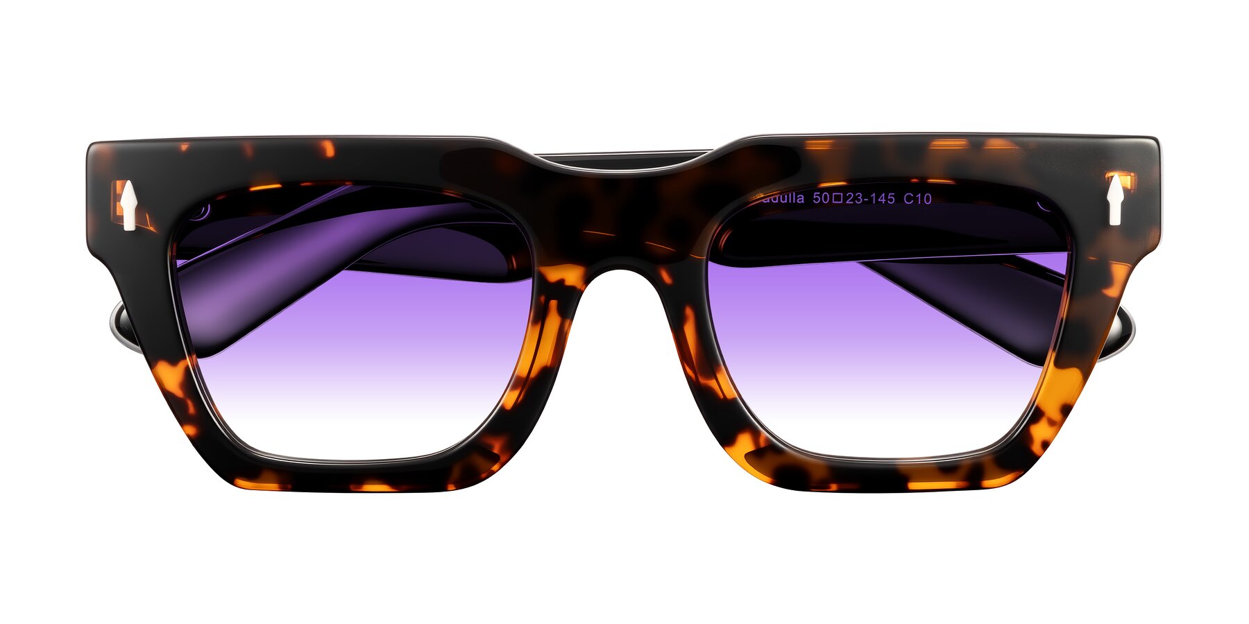 Folded Front of Padulla in Tortoise with Purple Gradient Lenses