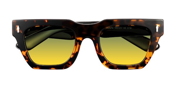 Front of Padulla in Tortoise