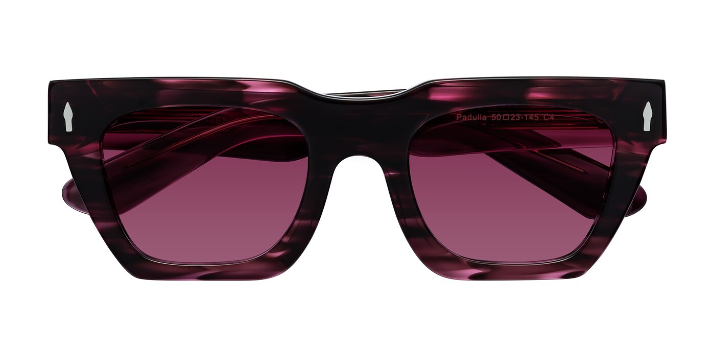 Padulla - Wine Berry Striped Tinted Sunglasses