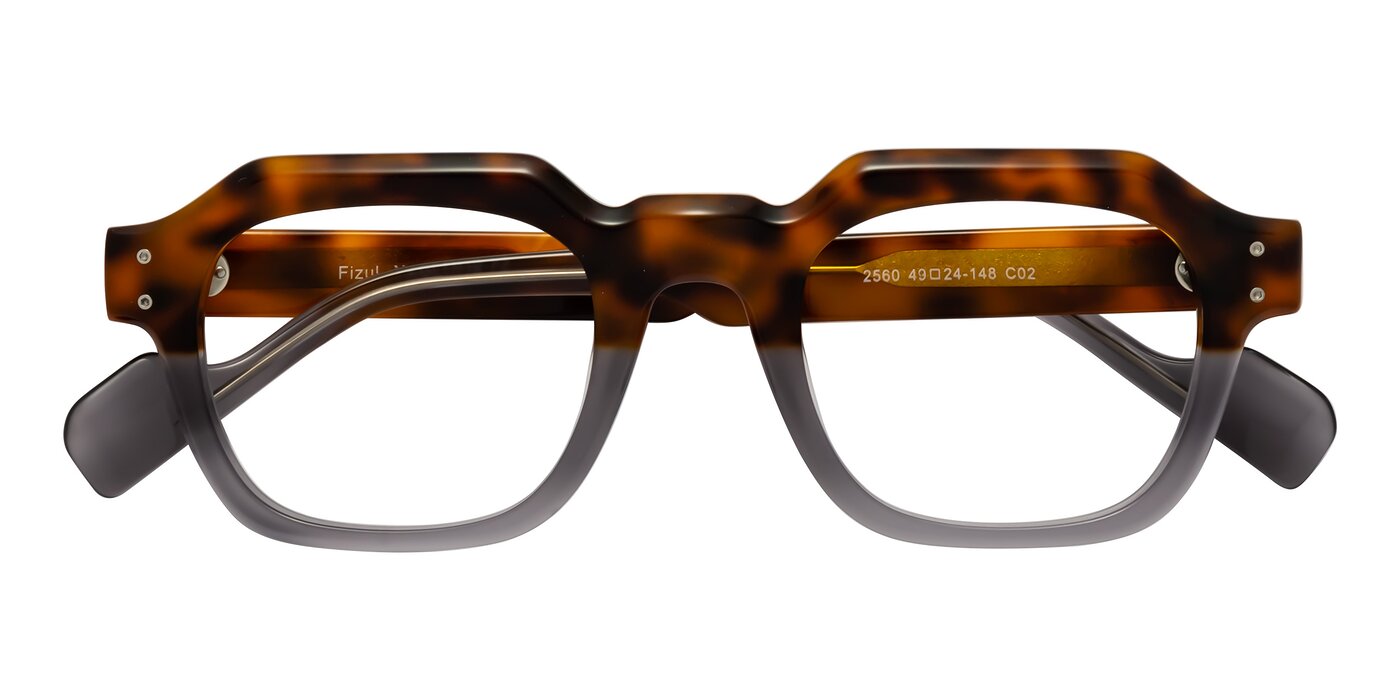 Fizul - Tortoise / Translucent Gray Eyeglasses