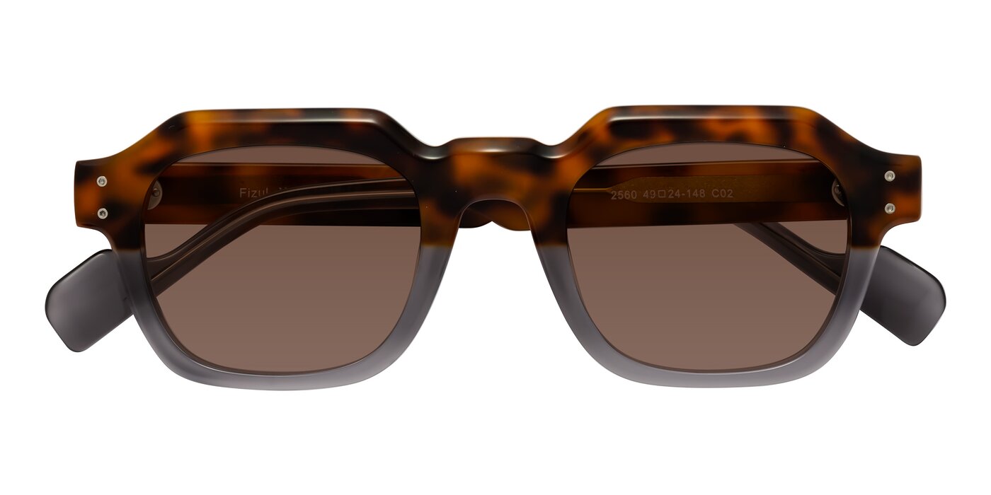 Fizul - Tortoise / Translucent Gray Tinted Sunglasses