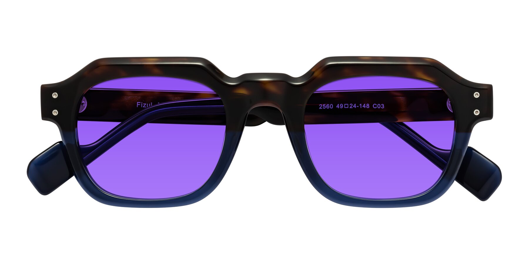 Tortoise / Translucent Blue Retro-Vintage Geometric Full-Rim Tinted Sunglasses with Purple Sunwear Lenses - Fizul