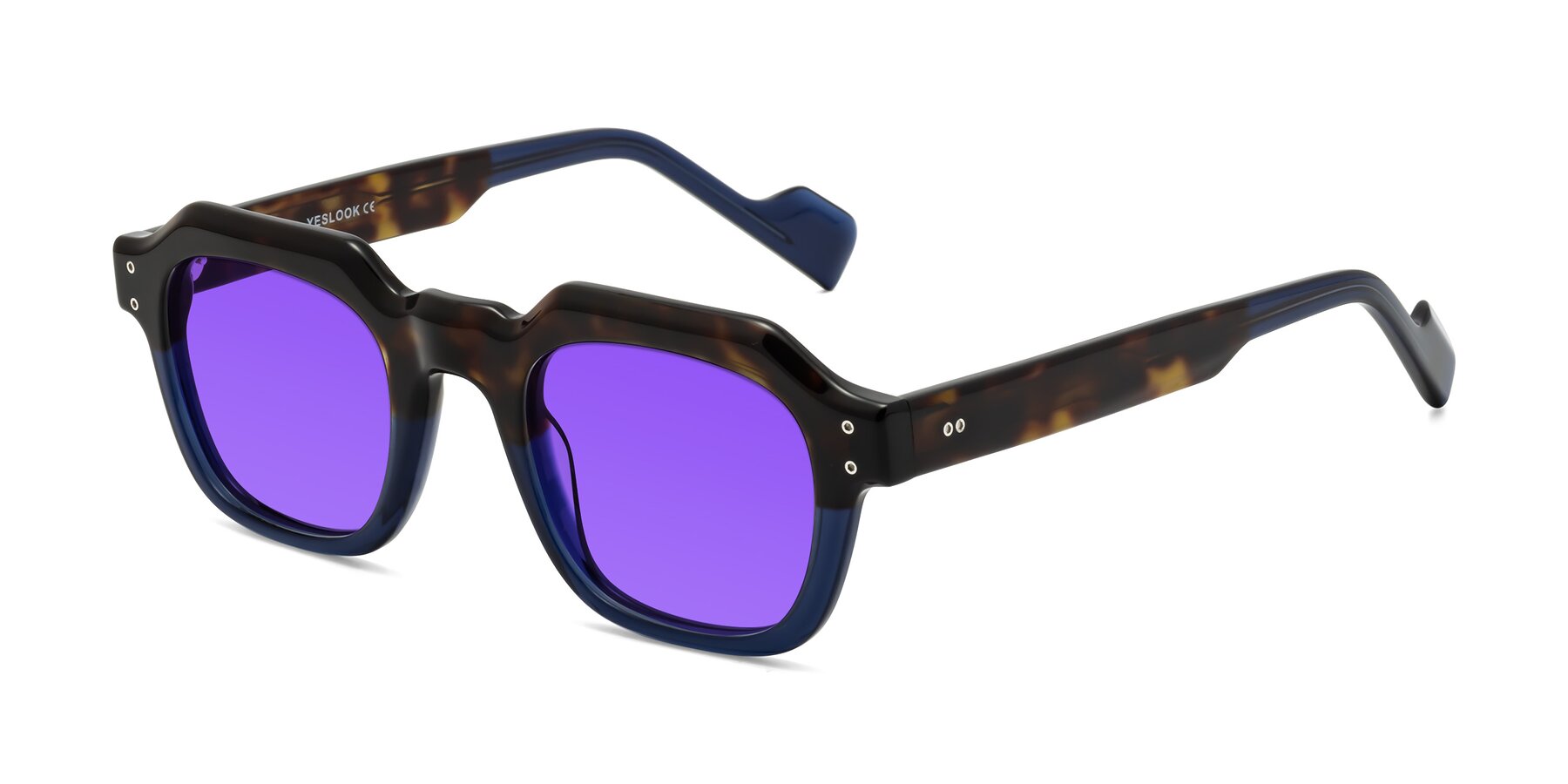 Tortoise / Translucent Blue Retro-Vintage Geometric Full-Rim Tinted Sunglasses with Purple Sunwear Lenses - Fizul