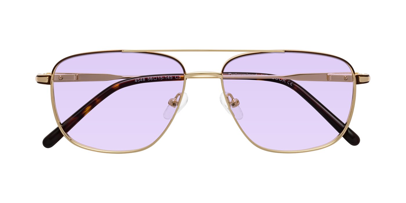 Determined - Gold / Brown Tinted Sunglasses