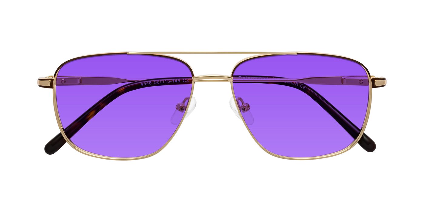 Determined - Gold / Brown Tinted Sunglasses
