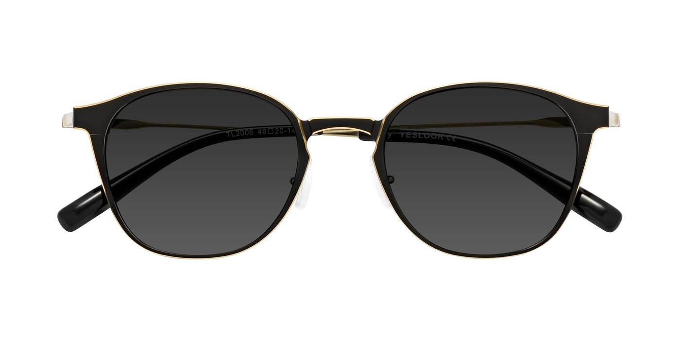 Lzzy - Metallic Black / Gold Tinted Sunglasses