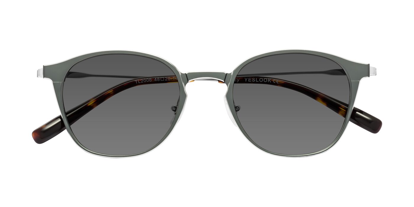 Lzzy - Metallic Gray / Silver Tinted Sunglasses