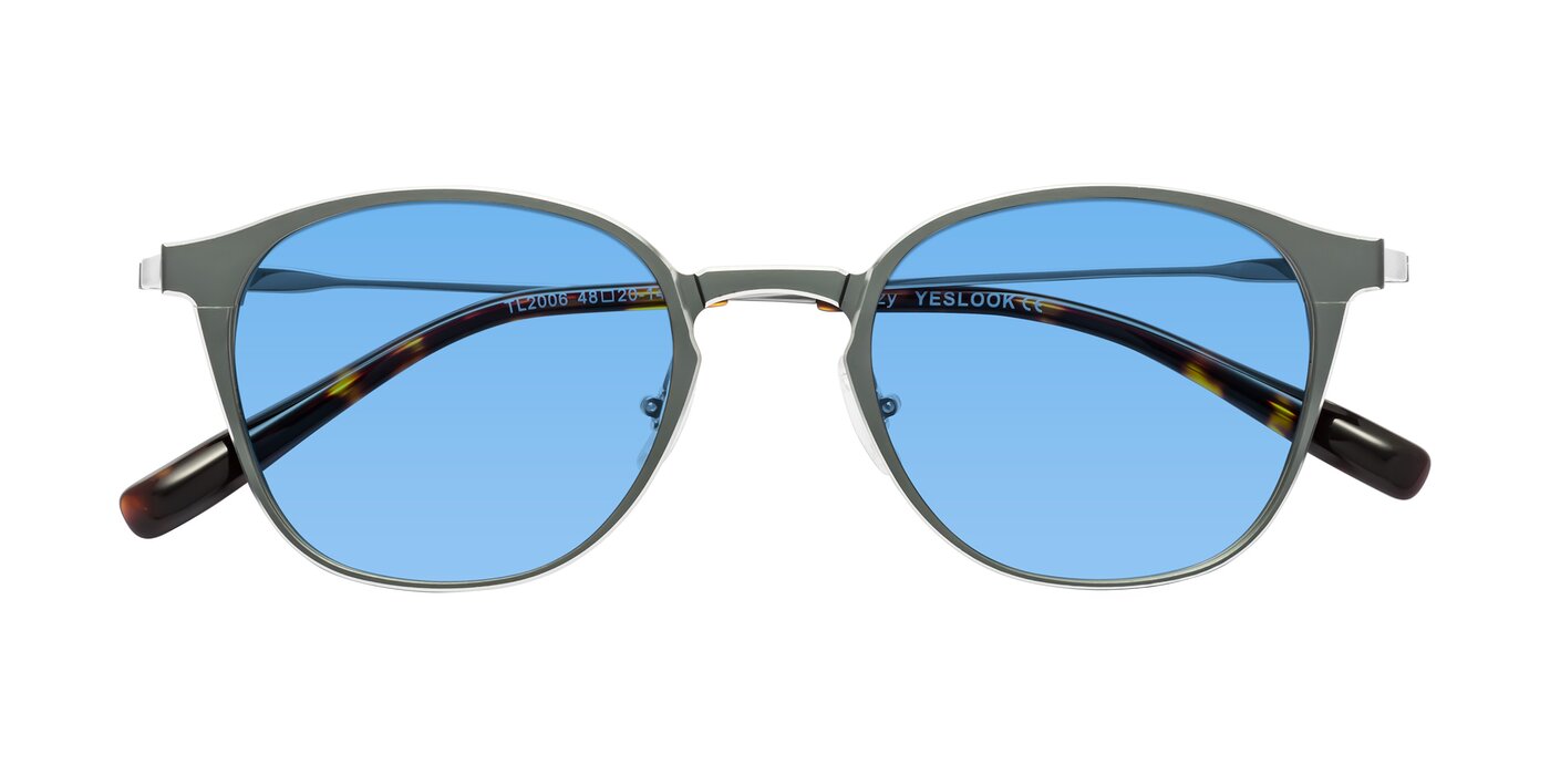 Lzzy - Metallic Gray/Silver Tinted Sunglasses