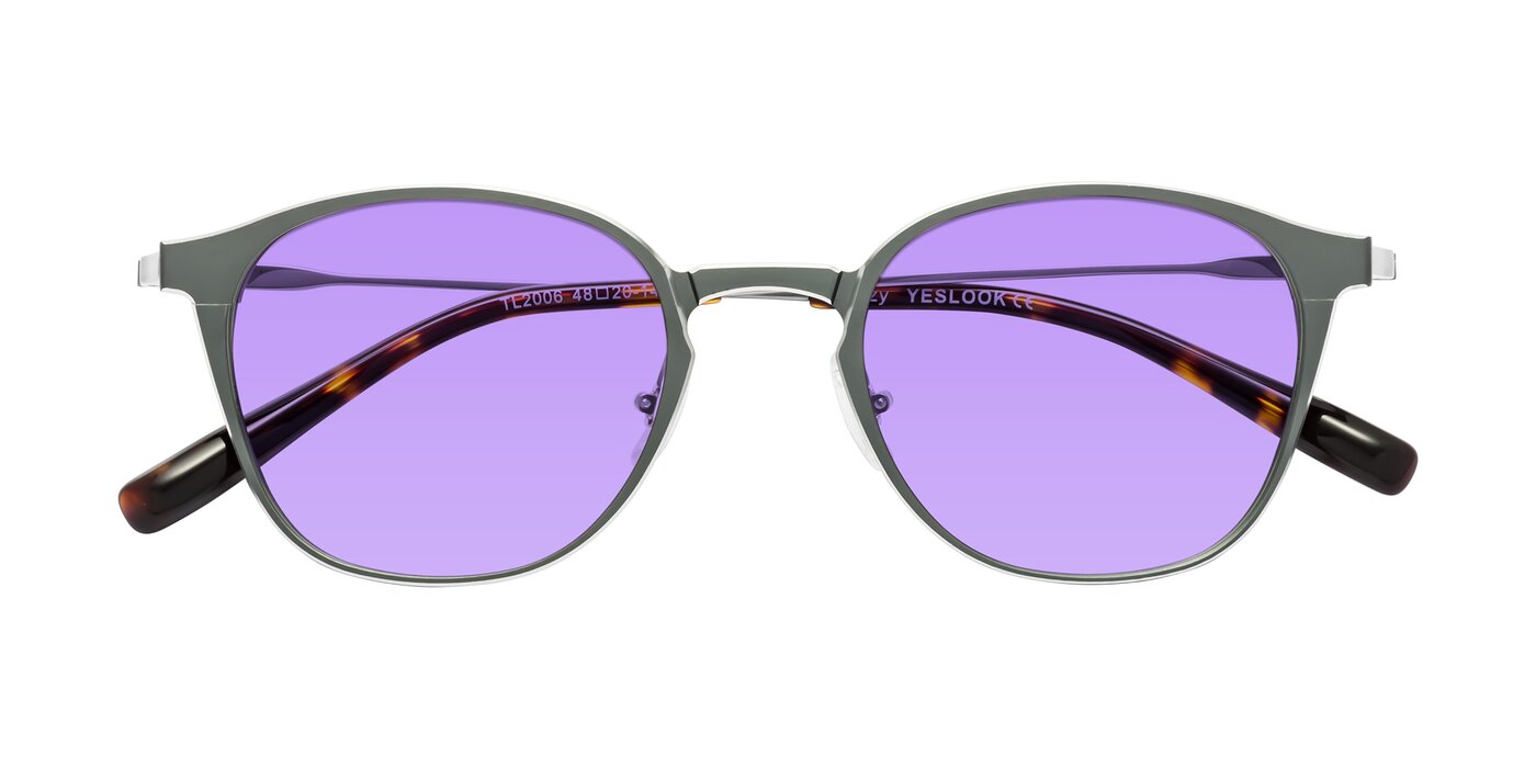 Lzzy - Metallic Gray/Silver Tinted Sunglasses