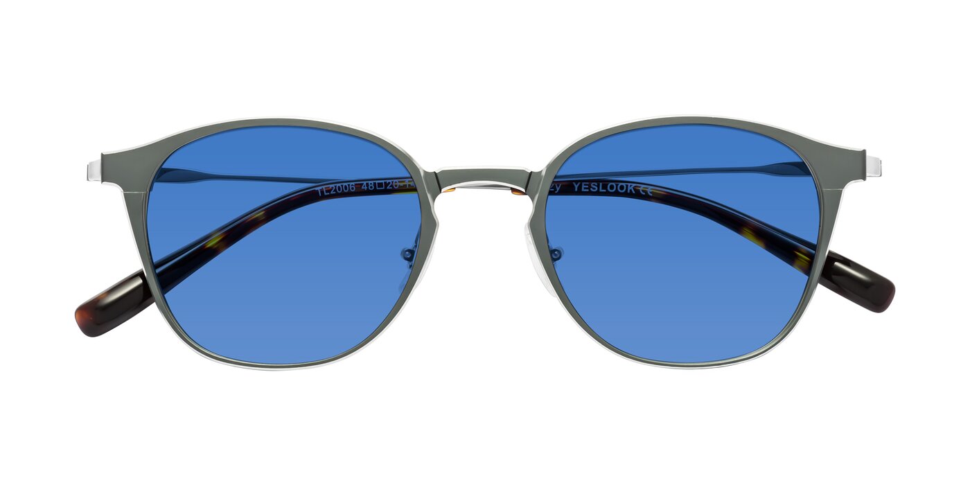 Lzzy - Metallic Gray/Silver Tinted Sunglasses