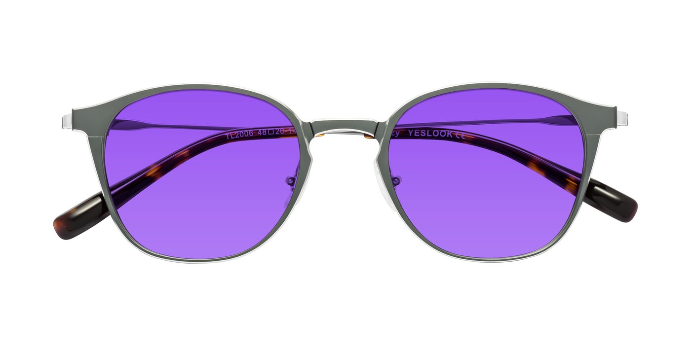 Lzzy - Metallic Gray/Silver Tinted Sunglasses