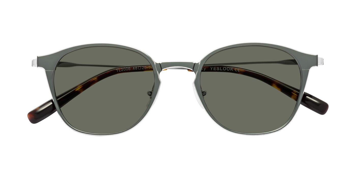 Lzzy - Metallic Gray/Silver Polarized Sunglasses