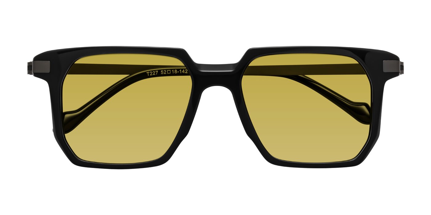 Eloise - Black Tinted Sunglasses