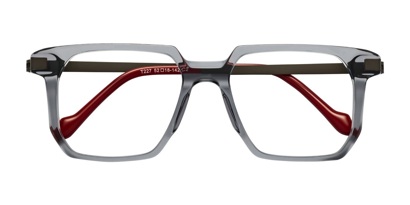 Eloise - Transparent Gray Eyeglasses
