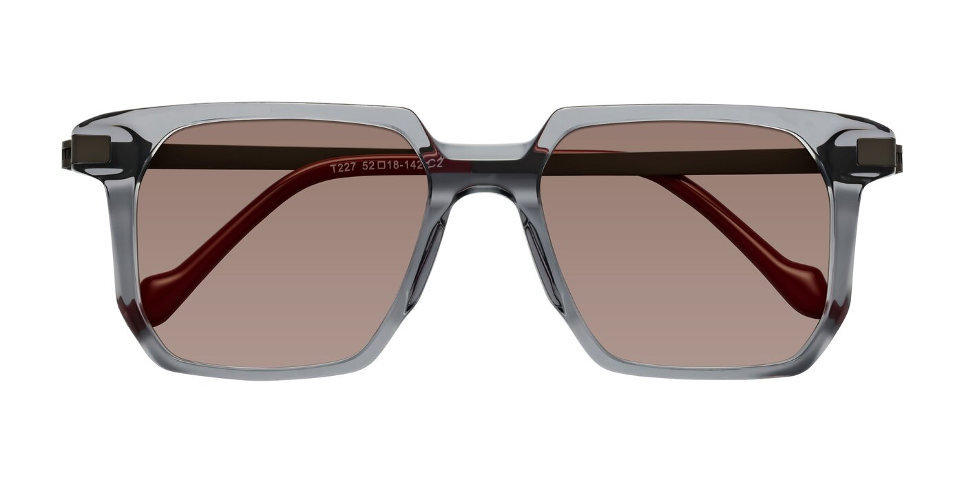 Eloise - Transparent Gray Tinted Sunglasses
