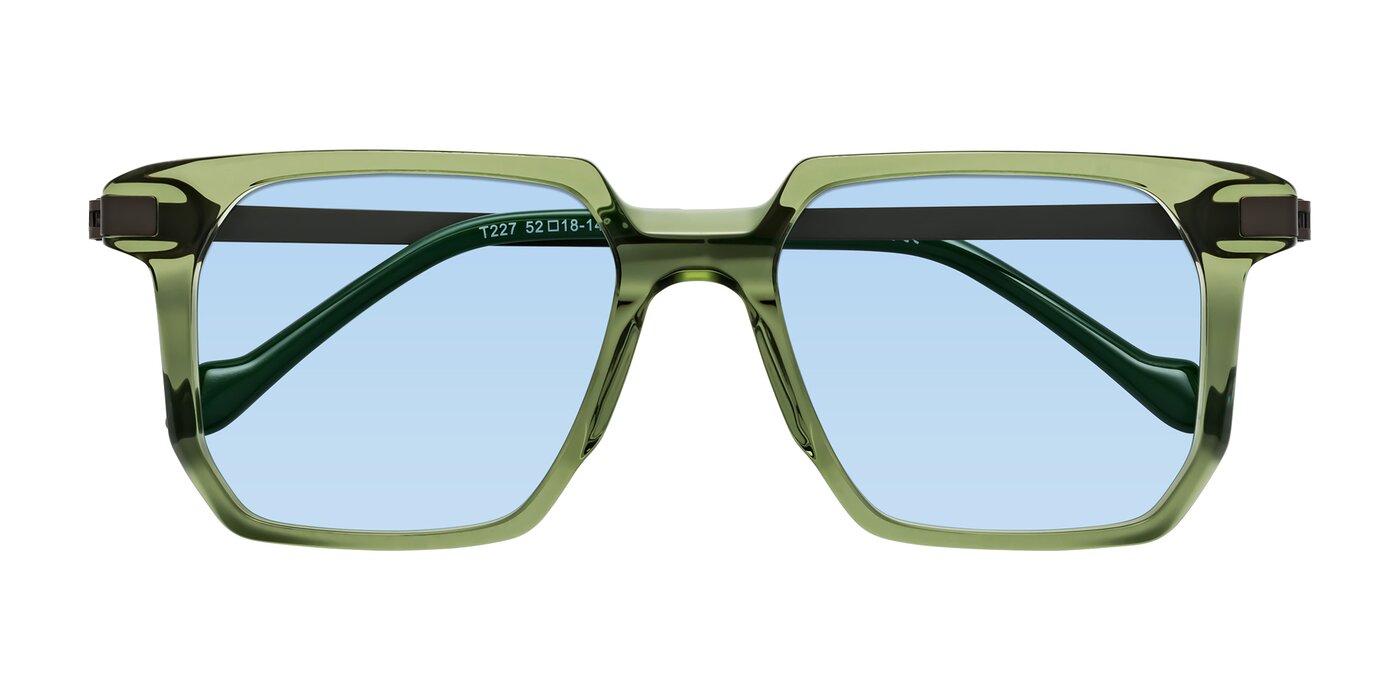 Eloise - Transparent Green Tinted Sunglasses