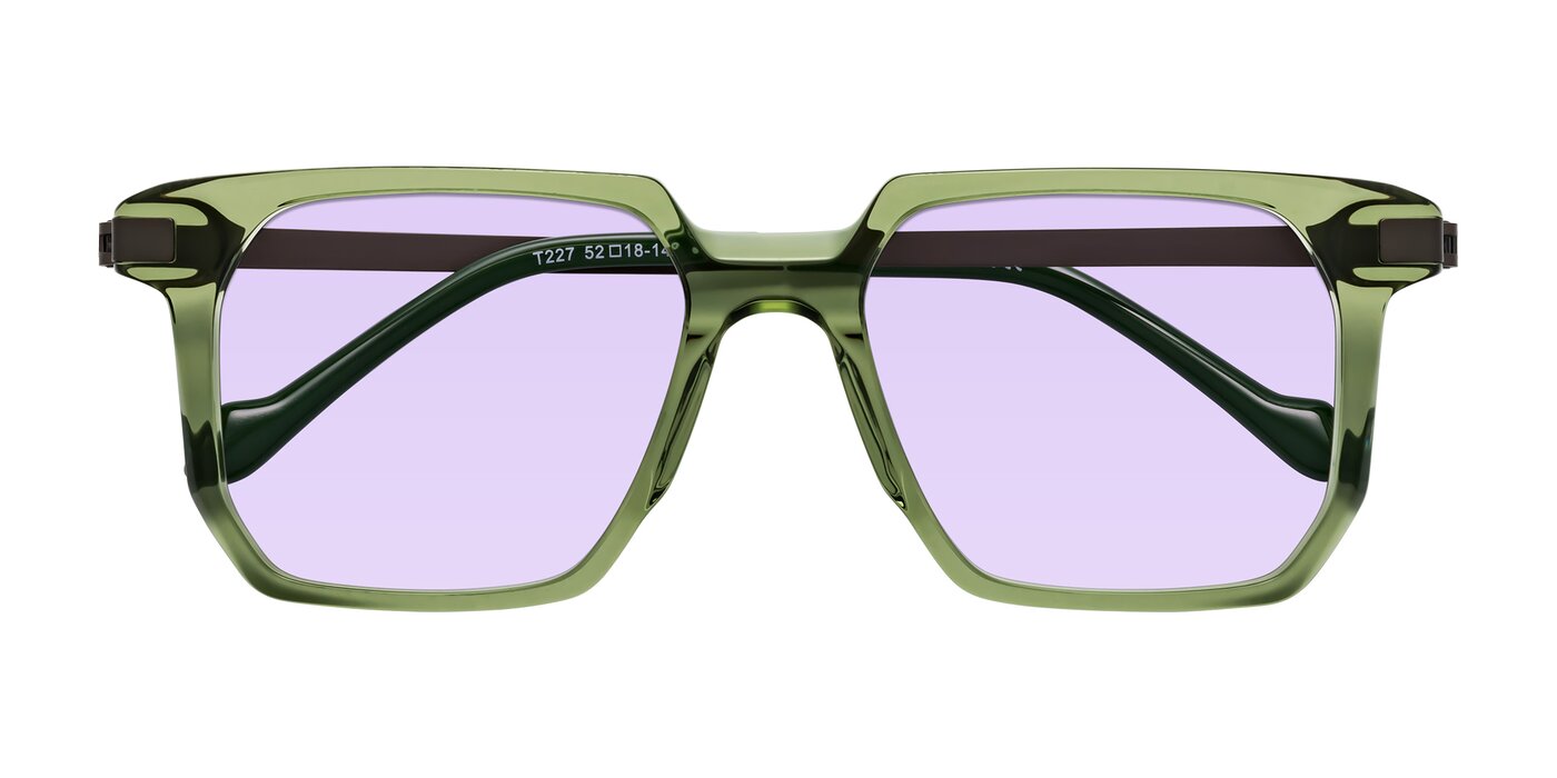 Eloise - Transparent Green Tinted Sunglasses