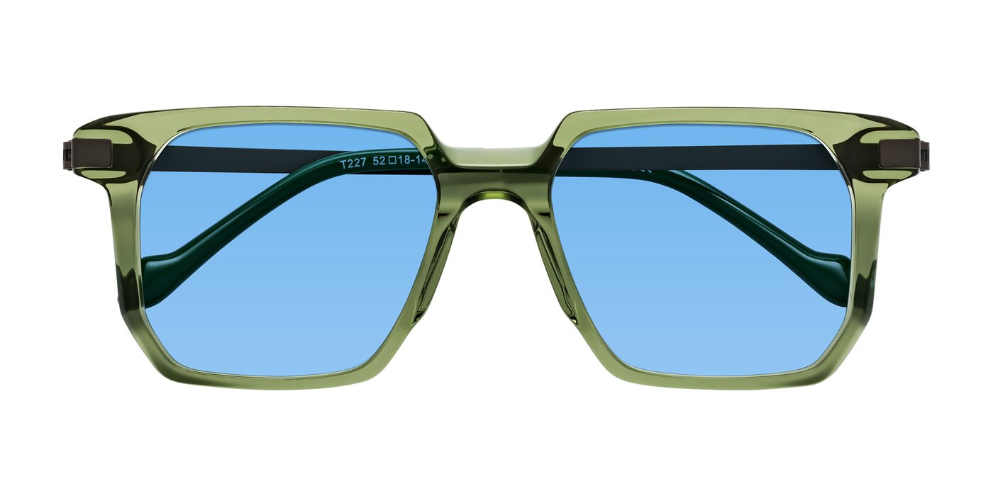 Eloise - Transparent Green Tinted Sunglasses